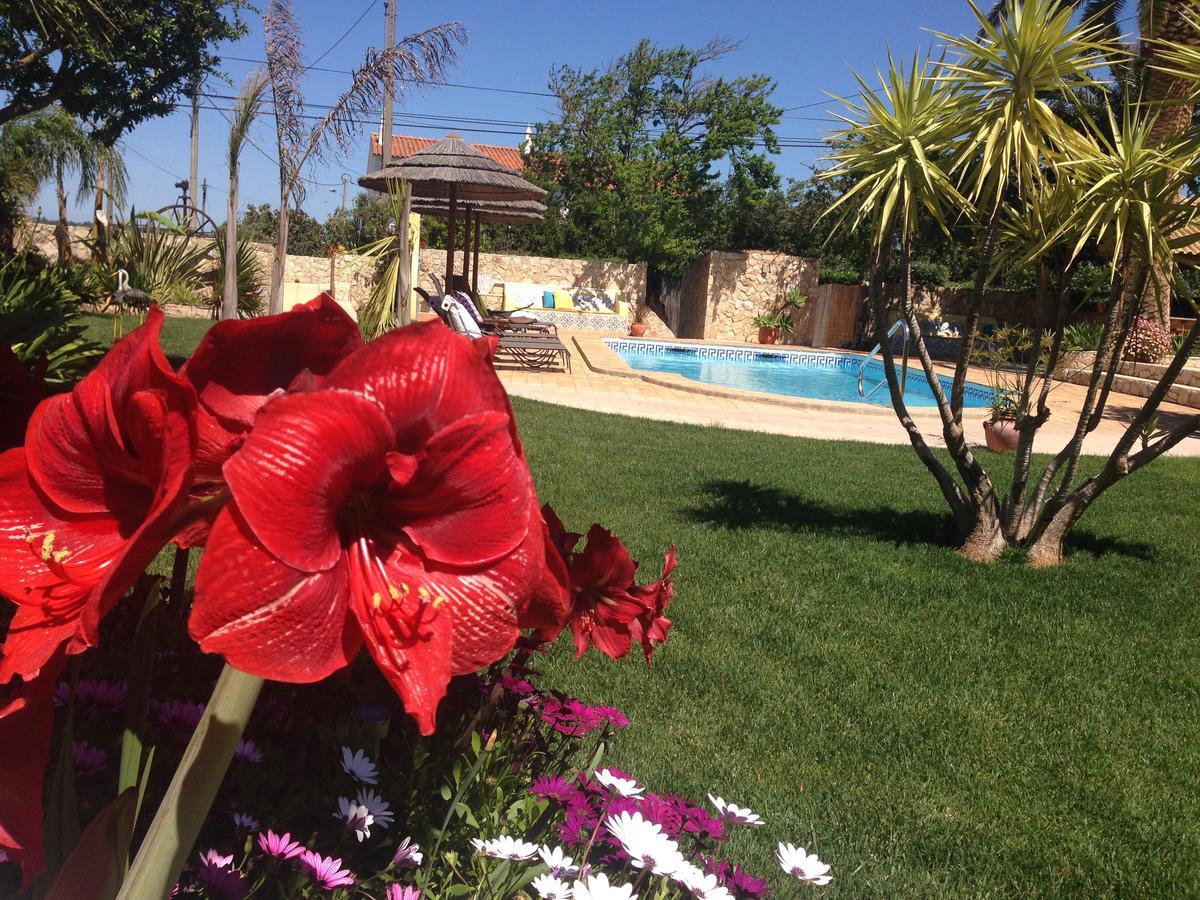 Casa Paula Villas - Private Heatable Pool For Each House Lagos Exteriör bild